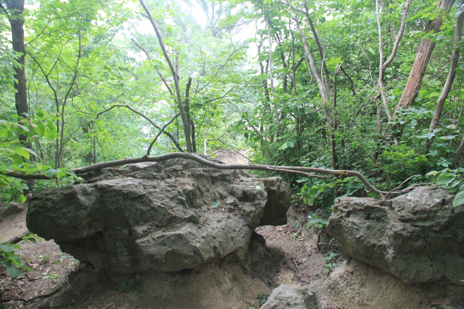 Starved Rock 